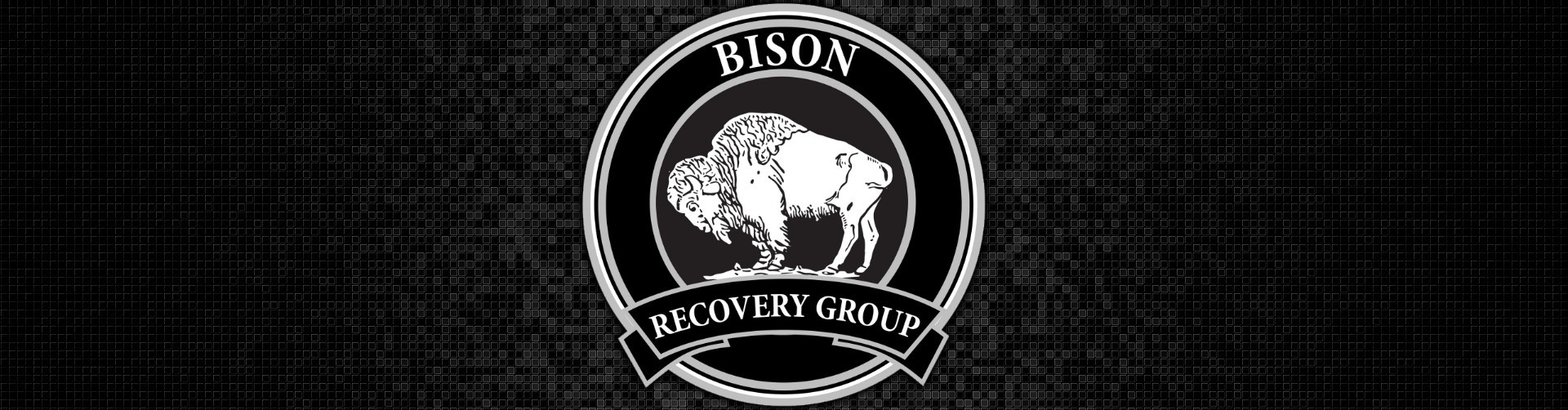 Bison Recovery Group